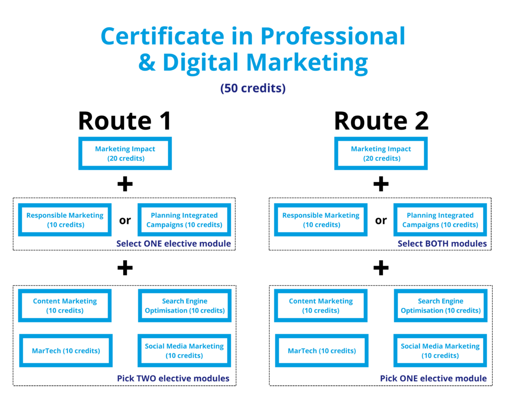 Level 4 CIM Certificate in Professional Digital Marketing 2024 Module Structure